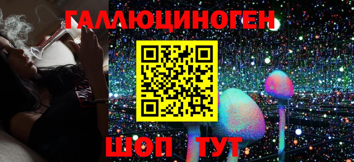 Псилоцибиновые грибы GOLDEN TEACHER Бор