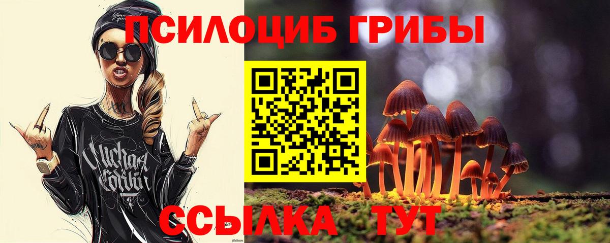 Бор  Псилоцибиновые грибы мицелий  что такое наркотик  Галлюциногенные грибы Psilocybe  Вход с VPN 